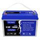 100ah 12.8v Lifepo4 Bms Cycle Lithium Battery For Ev Rv Solar Camping Golf Cart