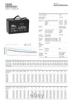 12V 100AH (10 hr rate) LCB battery for mobility application, golf cart etc