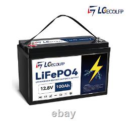 12V 100AH LiFePO4 Lithium Battery 5000+ Cycles Deep Cycle BMS for RV Solar