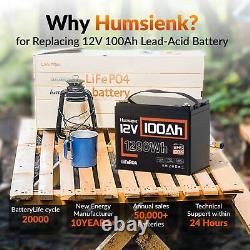 12V 100Ah 1280Wh LiFePO4 Lithium Battery Deep Cycle BMS For RV Marine Golf Carts