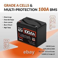 12V 100Ah 1280Wh LiFePO4 Lithium Battery Deep Cycle BMS For RV Marine Golf Carts