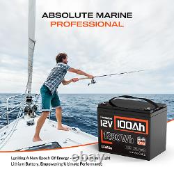 12V 100Ah 1280Wh LiFePO4 Lithium Battery Deep Cycle BMS For RV Marine Golf Carts