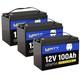 12v 100ah 200ah 300ah Lifepo4 Lithium Battery 6000+ Deep Cycles Bms For Rv Home