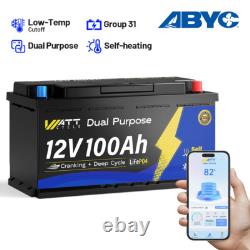 12V 100Ah Dual Purpose LiFePO4 Marine Starting Battery For Outboard Motor IP67