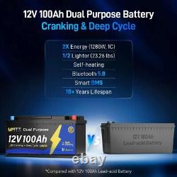 12V 100Ah Dual Purpose LiFePO4 Marine Starting Battery For Outboard Motor IP67