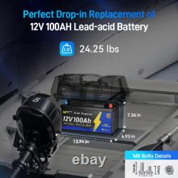 12V 100Ah Dual Purpose LiFePO4 Marine Starting Battery For Outboard Motor IP67
