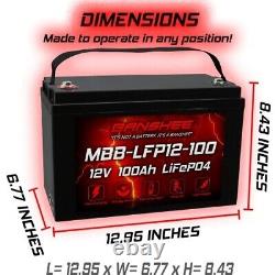 12V 100Ah LiFePO4 Lithium Battery, Up to 8000 Cycles, Built-in Smart BMS