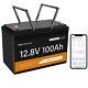 12v 100ah Lifepo4 Lithium Bluetooth 4000+ Cycle Battery For Rv Solar Golf Cart