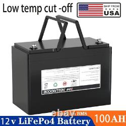 12V 100Ah LiFePO4 Rechargeable Lithium Battery 100A BMS for Golf Cart wheelchair