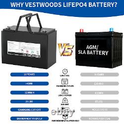 12V 100Ah LiFePO4 Rechargeable Lithium Battery 100A BMS for Golf Cart wheelchair
