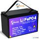 12v 100ah Lithium Iron Lifepo4 Phosphate Battery For Rv Deep Cycles Solar System