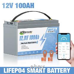 12V 100Ah Smart LiFePO4 Lithium Battery BMS for RV Marine Solar Trolling Motor