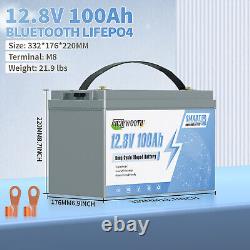 12V 100Ah Smart LiFePO4 Lithium Battery BMS for RV Marine Solar Trolling Motor