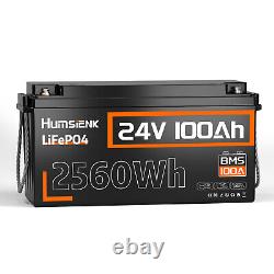 12V/24V 100Ah 200Ah 300Ah Bluetooth LiFePO4 Lithium Battery BMS For RV Off-Grid