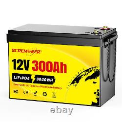 12V 24V 36V 48V 100Ah 200Ah 300Ah LiFePO4 Lithium Battery BMS DeepCycle Solar RV