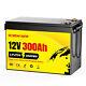 12v 24v 36v 48v 100ah 200ah 300ah Lifepo4 Lithium Battery Bms Deepcycle Solar Rv