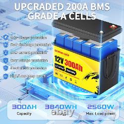 12V 24V 36V 48V 100Ah 200Ah 300Ah LiFePO4 Lithium Battery BMS DeepCycle Solar RV
