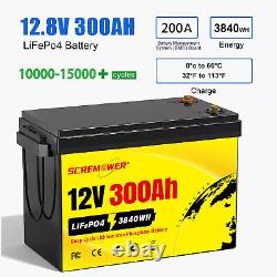 12V 24V 36V 48V 100Ah 200Ah 300Ah LiFePO4 Lithium Battery BMS DeepCycle Solar RV