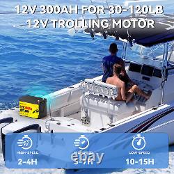 12V 24V 36V 48V 100Ah 200Ah 300Ah LiFePO4 Lithium Battery BMS DeepCycle Solar RV