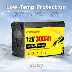 12V 24V 36V 48V 100Ah 200Ah 300Ah LiFePO4 Lithium Battery BMS DeepCycle Solar RV