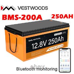12V 250AH LiFePO4 200A BMS Bluetooth Lithium Battery Low Temp Golf Cart Home