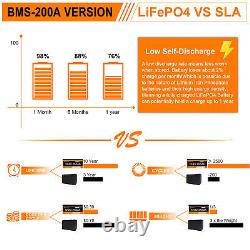 12V 250AH LiFePO4 200A BMS Bluetooth Lithium Battery Low Temp Golf Cart Home