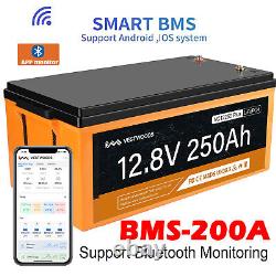 12V 250Ah Lithium Bluetooth Battery LiFePO4 For Golf Cart Solar RV Solar Home