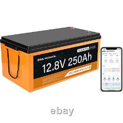 12V 250Ah Lithium Iron Battery LiFePO4 3200Wh For Solar RV Golf Cart Bluetooth