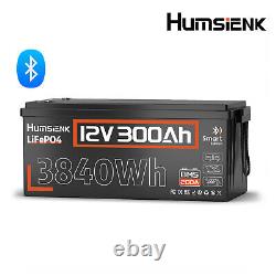 12V 300Ah 3840Wh LiFePO4 Lithium Battery Bluetooth For RV Solar Marine Off-Grid