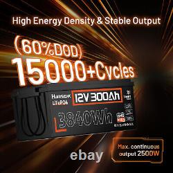 12V 300Ah 3840Wh LiFePO4 Lithium Battery Bluetooth For RV Solar Marine Off-Grid