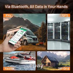 12V 300Ah 3840Wh LiFePO4 Lithium Battery Bluetooth For RV Solar Marine Off-Grid