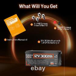 12V 300Ah 3840Wh LiFePO4 Lithium Battery Bluetooth For RV Solar Marine Off-Grid