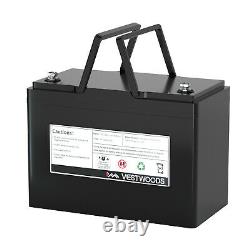 12.8V 100/200Ah LiFePO4 Lithium Iron Battery Low Temp Cut for RV Boat Golf Cart
