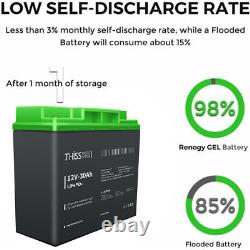 12 Volt 30Ah Lithium Off Grid Energy Rechargable Storage Battery Deep cycle lot