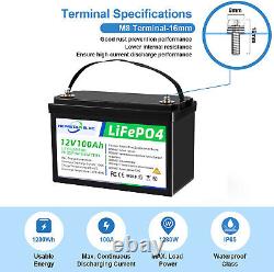 12v 100Ah LifePo4 Battery for Solar Panel RV Boat Golf Cart Off Grid Application