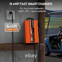 18 Amp 36 Volt Golf Cart Battery Charger for EZGO, 4-6H 36V 18A for EZGO D-PLUG