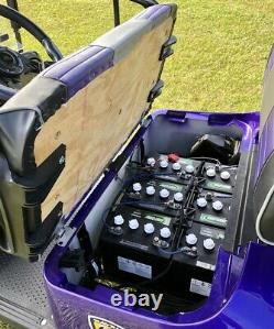 2014 EZGO Txt Golf Cart 48 Volts BRAND NEW BATTERIES Showroom Condition