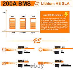 24V 220AH 200A BMS Lithium Battery Bluetooth Monitor for RV Home Solar Golf Cart