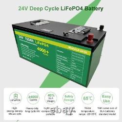 24v 100Ah LiFePo4 Battery Cells Waterproof Rechargeable For Boat Car Sola E-Bike