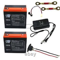 2 Pack 12V 24AH 6-DZM-20 Battery + Charger Electric Scooter Golf Cart Buggy Boat