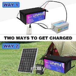 2 Pack 12V LiFePO4 Solar Battery Pack 200Ah 100A BMS for Golf Cart Marine RV