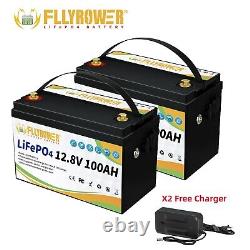 2-Pack 24V 100Ah LiFePO4 Battery 100A BMS Deep Cycles 12V 100Ah For Golf Cart RV