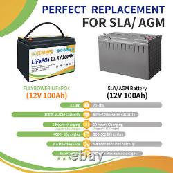 2-Pack 24V 100Ah LiFePO4 Battery 100A BMS Deep Cycles 12V 100Ah For Golf Cart RV