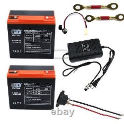 2 Pack of 12V 24Ah 6-DZM-20 Battery + Charger For Electric Golf Cart Go Kart ATV