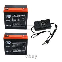 2 x 12V 24Ah 6-DZM-20 Battery + 24V Charger For Go Kart Golf Cart Scooter ATV