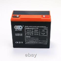 2 x 12V 24Ah 6-DZM-20 Battery + 24V Charger For Go Kart Golf Cart Scooter ATV