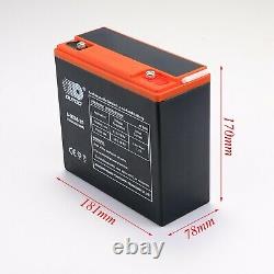 2 x 12V 24Ah 6-DZM-20 Battery + 24V Charger For Go Kart Golf Cart Scooter ATV