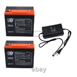 2 x 12V 24Ah 6-DZM-20 Battery + 24V Charger Go Kart Mobility Scooter Golf Cart