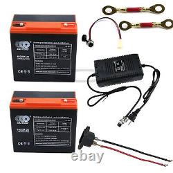 2x 6-DZM-20 12V 24AH Battery + Charger Fo Electric Scooter go kart ATV Golf Cart