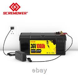 36V100Ah Lithium Golf Cart Battery LiFePO4 200A BMS 15000+Cycle For Solar Camper